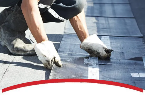 image_2025-11-01_172501316